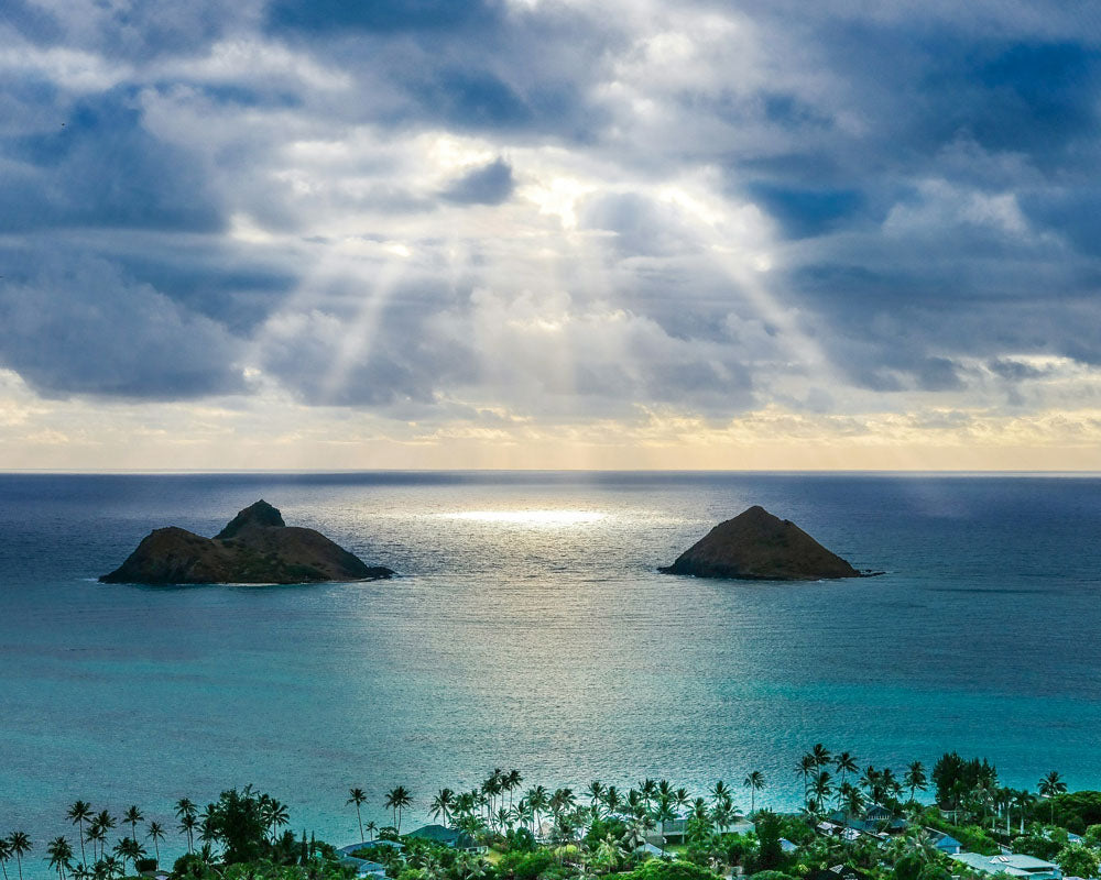 常夏の島ハワイの「ロミロミ」に学ぶ、身体の強張りをほどく教え 愛の手のひらで、強がりを溶かしていく夜
