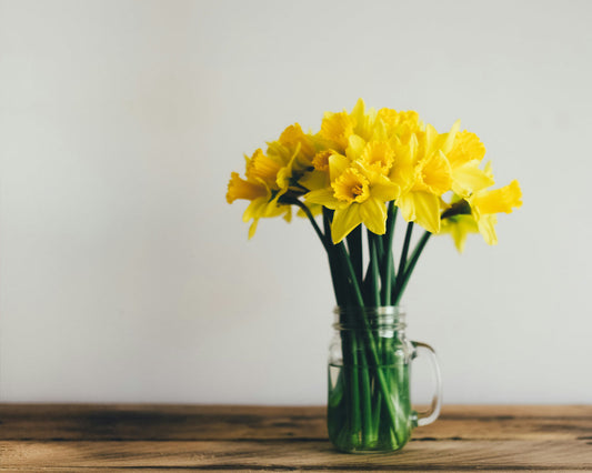 寝室の温度と湿度の正解は？ 季節ごとの快眠環境づくり